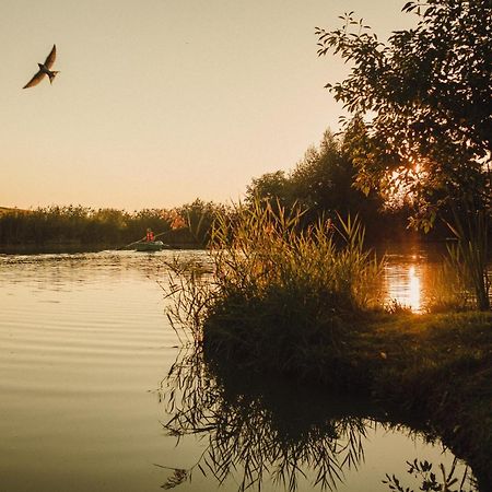 Domek Nad Rozlewiskiem Kudowa-Zdroj Dış mekan fotoğraf