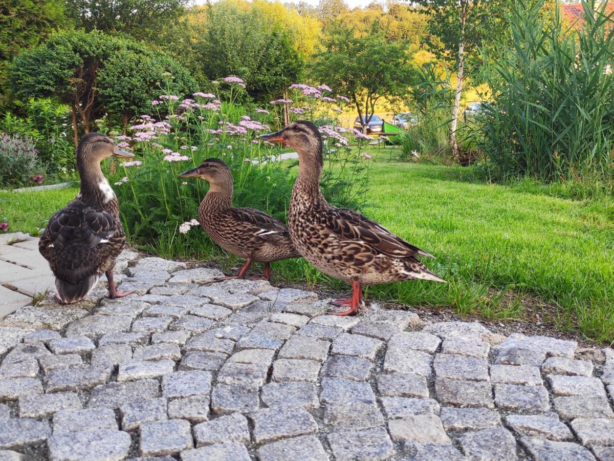 Domek Nad Rozlewiskiem Kudowa-Zdroj Dış mekan fotoğraf