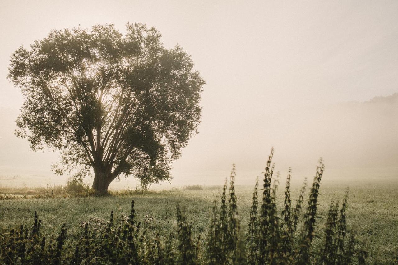 Domek Nad Rozlewiskiem Kudowa-Zdroj Dış mekan fotoğraf