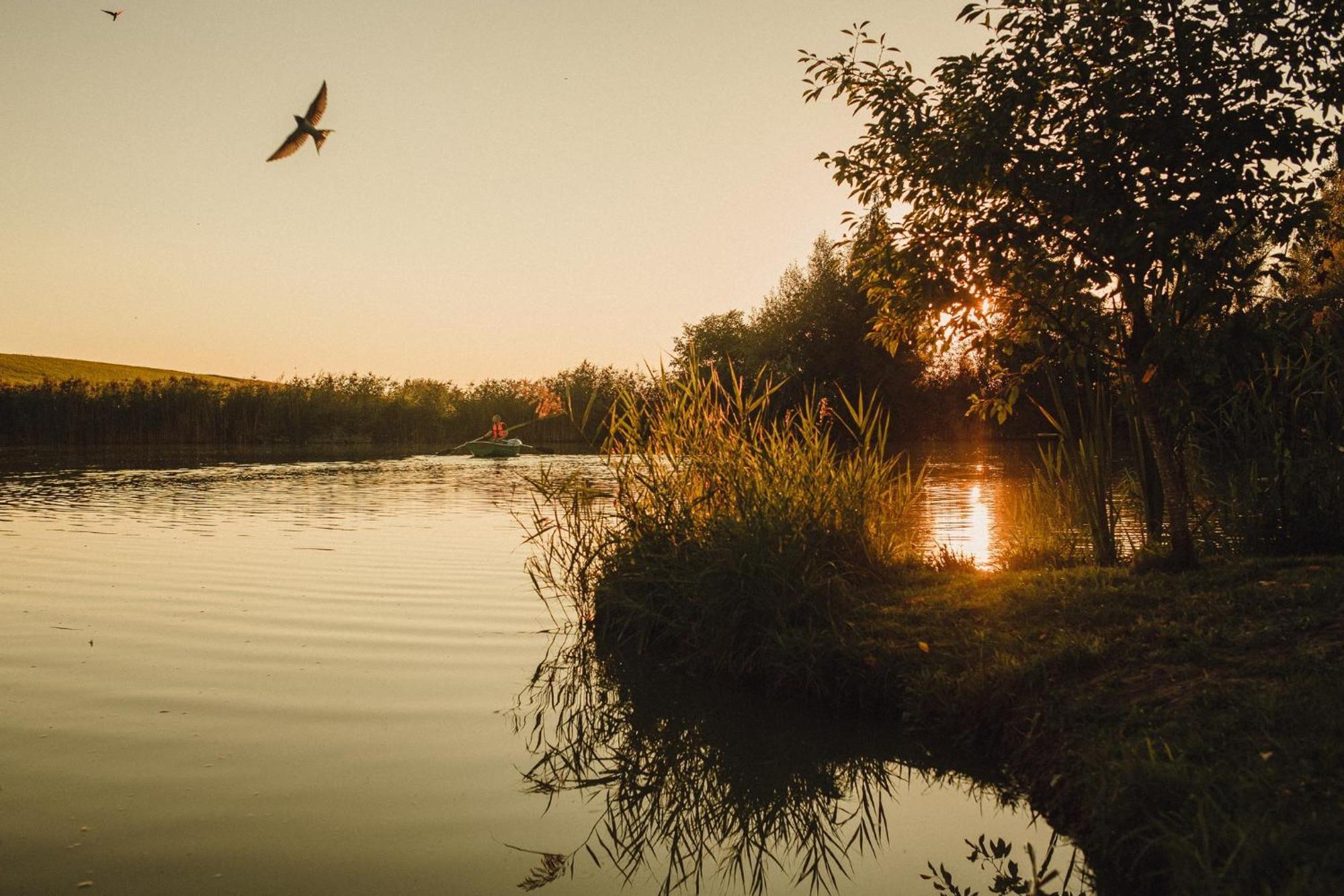 Domek Nad Rozlewiskiem Kudowa-Zdroj Dış mekan fotoğraf