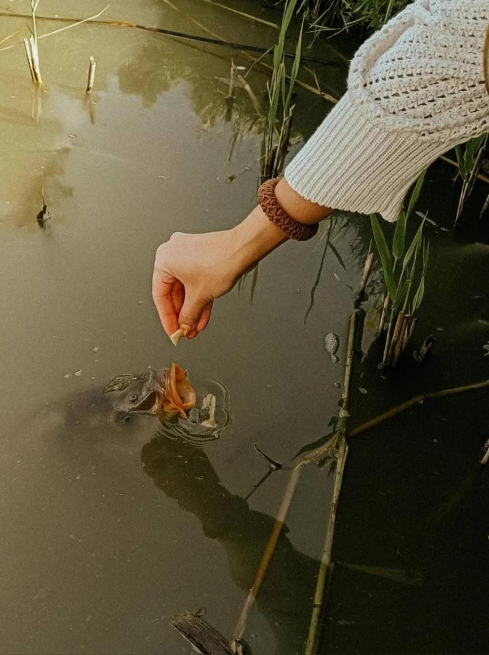 Domek Nad Rozlewiskiem Kudowa-Zdroj Dış mekan fotoğraf